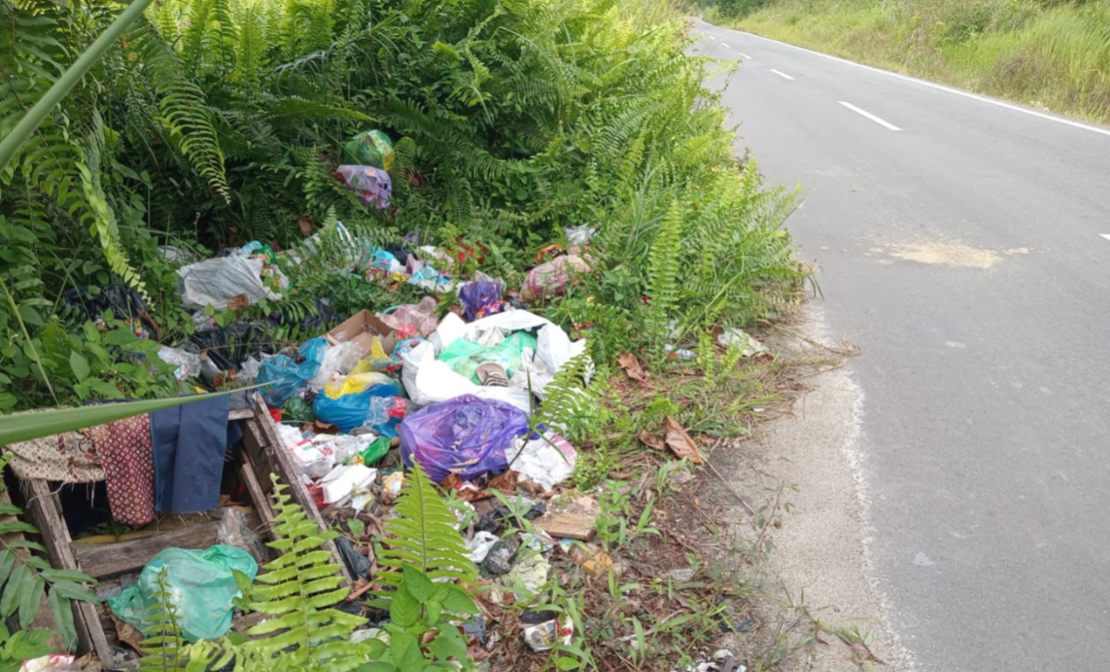 Tumpukan sampah di Bumi Raya diduga menjadi salah satu daya tarik bagi beruang berkeliaran di kawasan itu.
