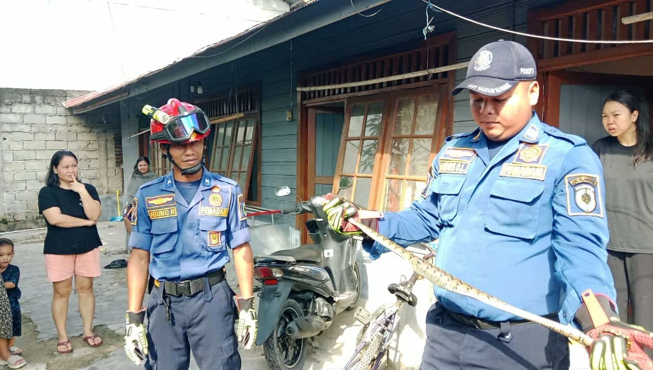 Tim Rescue Damkar Kota Palangka Raya menangkap seekor Ular Piton di salah satu kediaman warga di sebuah kos-kosan di Jalan Bukit Raya XIII, Sabtu (29/11)