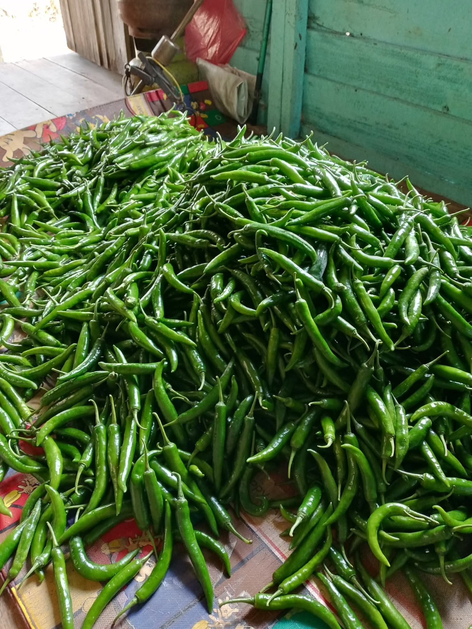 Cabai di Pasar Indra Sari, Kelurahan Baru, Kecamatan Arsel, Kabupaten Kobar.