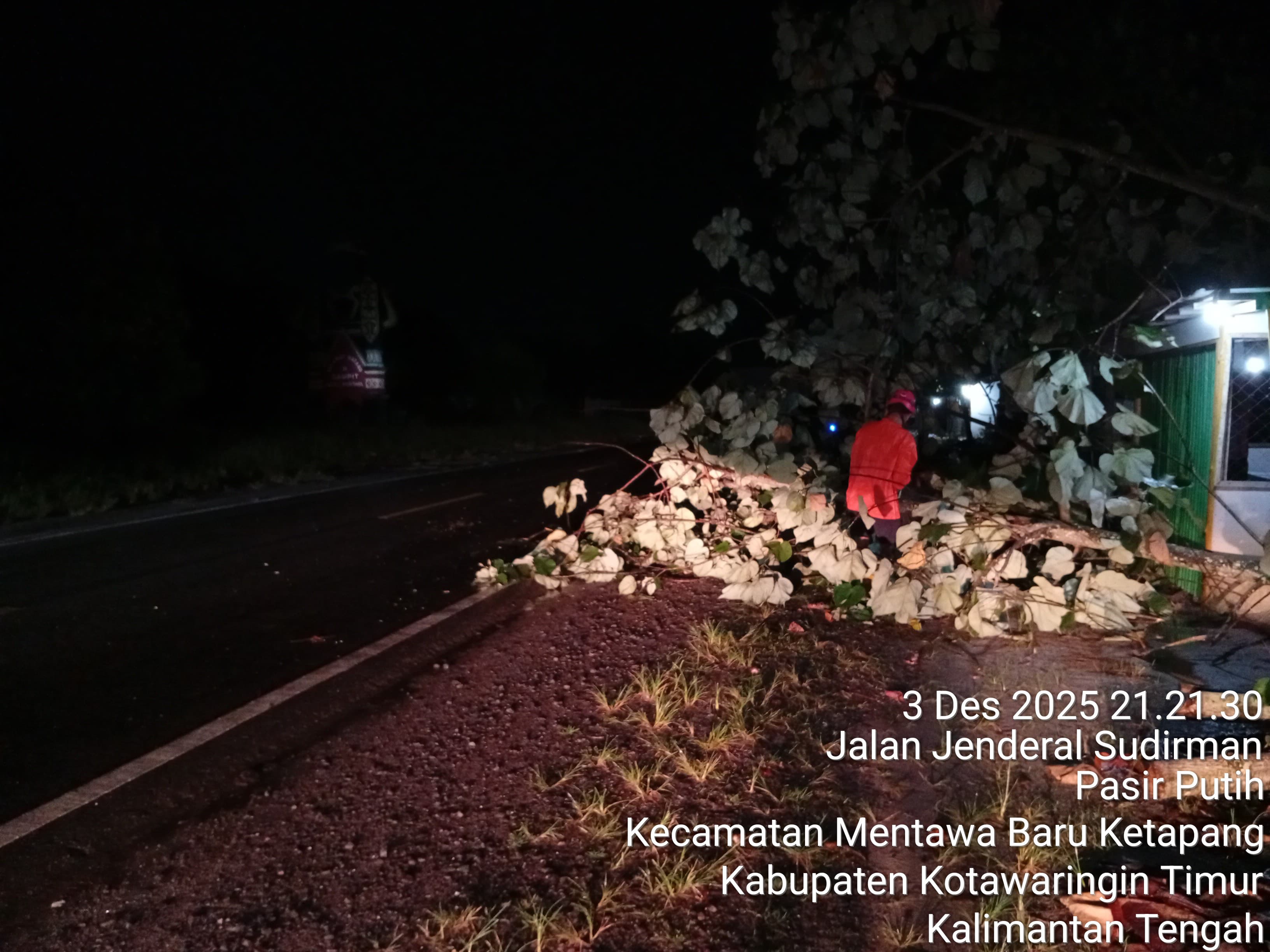 Petugas BPBD Kotim mengevakuasi pohon tumbang di Jalan Jenderal Sudirman KM 11, Rabu (3/12) malam.