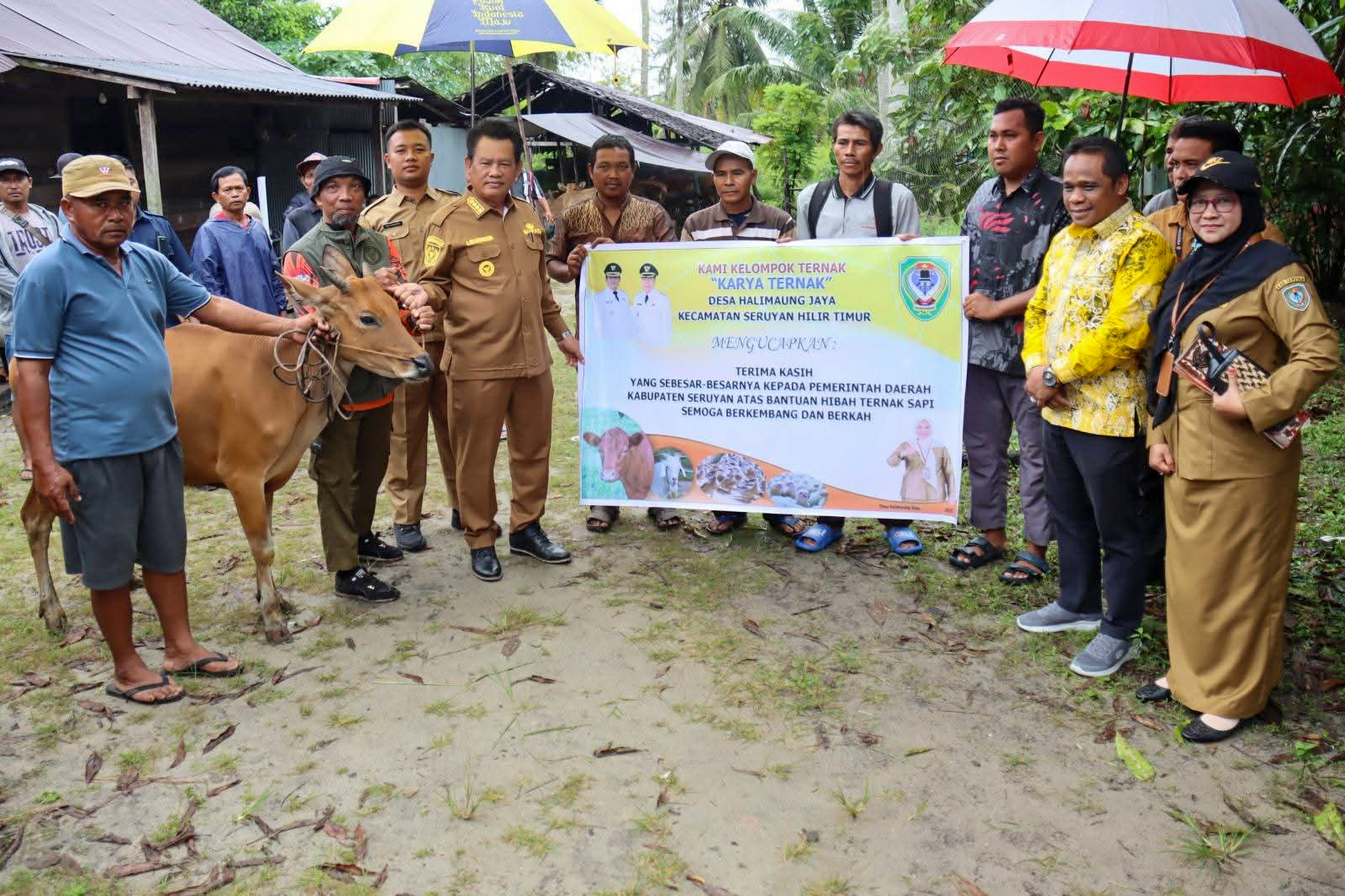 Penyerahan hibah puluhan ekor hewan ternak kepada 6 kelompok tani di Kuala Pembuang dan sekitarnya, (2/12).