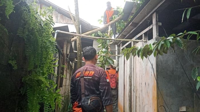 CUACA EKSTREM: TRC BPBD Kobar mengevakuasi pohon tumbang di Jalan Pangeran Antasari, Gang Gusti Ahmad Sa