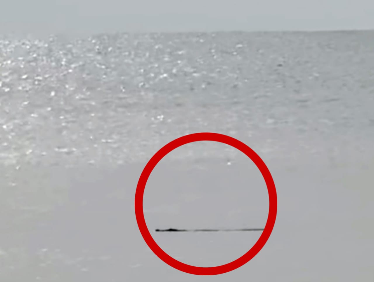 Buaya muara menampakkan diri di sekitar Pantai Ujung Pandaran, belum lama ini. Ini menambah ancaman bagi warga saat rob meninggi seperti sekarang.