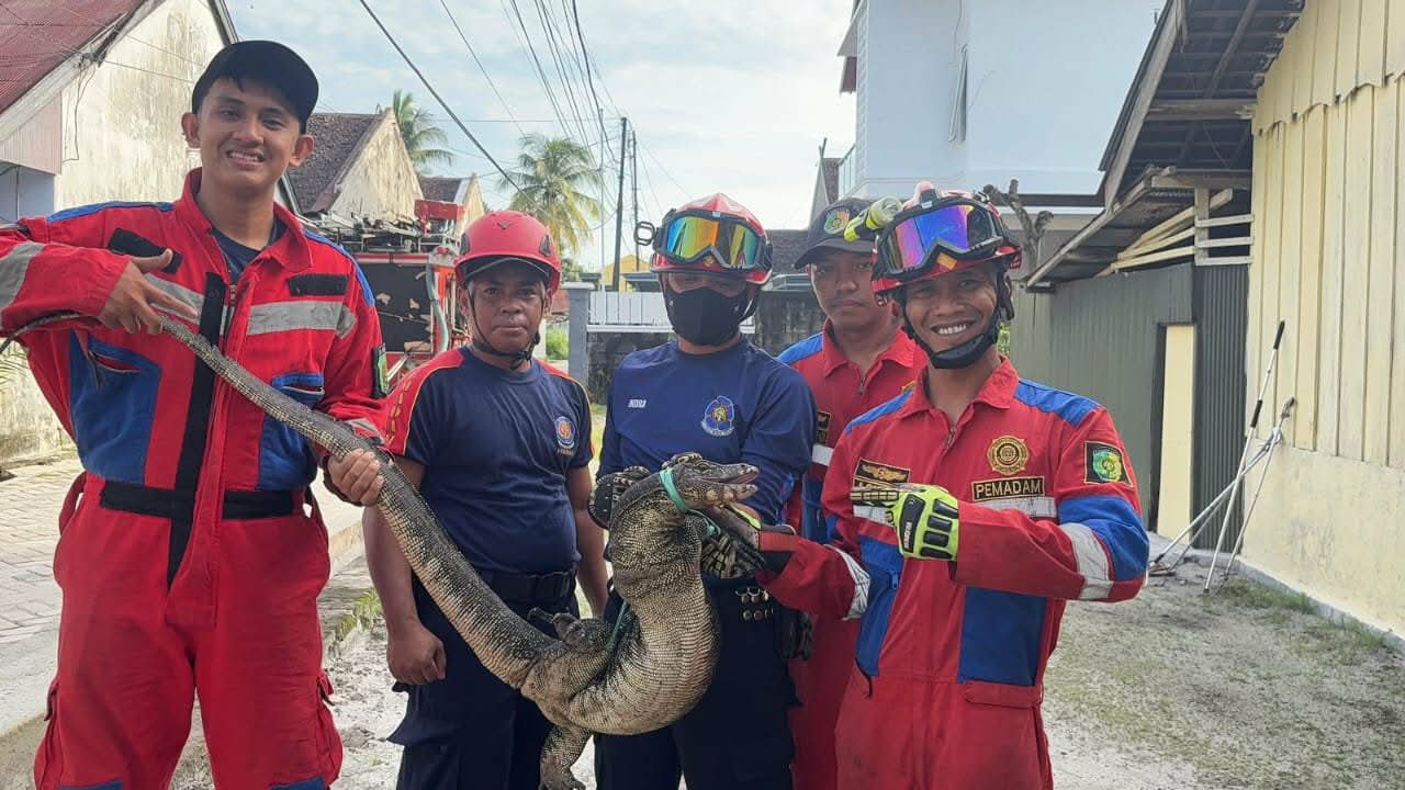 Petugas Rescue Damkar Palangka Raya saat menangkap seekor Biawak yang sempat membuat kepanikan di salah satu rumah di Jalan Mujair, Senin (8/12).