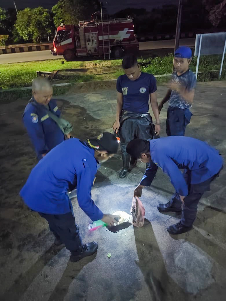 Petugas Damkar Seruyan, saat menangani tawon yang bersarang di plafon kantor Labkesda di Kuala Pembuang, baru-baru tadi.