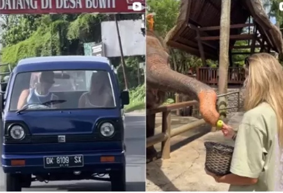 Mobil pikap biru yang pernah ditumpangi Bonnie Blue ikut disita aparat kepolisian (foto tengah). (Instagram: Onlybonnieblue)