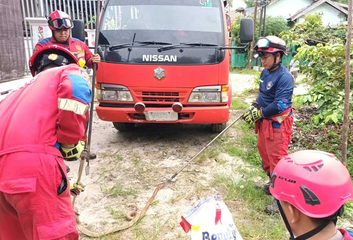 SEMPAT MELAWAN: Tim Damkar Palangka Raya menangkap seekor ular kong kobra yang masuk ke permukiman warga di Jalan Buluh Marindu km 4, Kamis (11/12).
