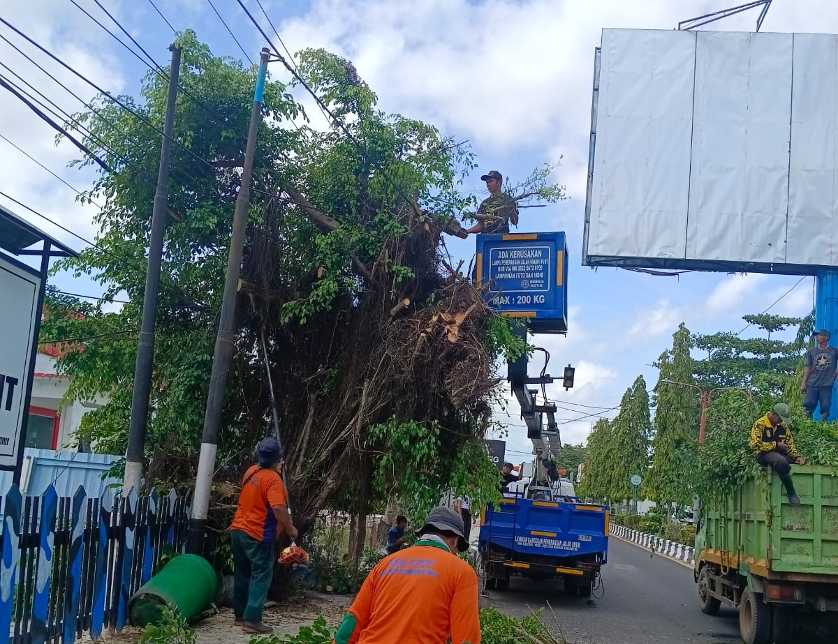 DIPANGKAS : Petugas saat memangkas pohon yang rawan tumbang di Kota Sampit.&nbsp;SUHARDIYONO UNTUK RADAR SAMPIT