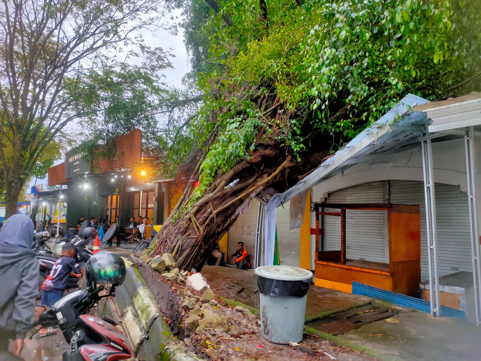 TUMBANG: Pohon tumbang di Kota Sampit di Jalan Kapten Mulyono Depan Kodim 1015 Sampit akibat angin kencang. (Yuni/Radar Sampit)