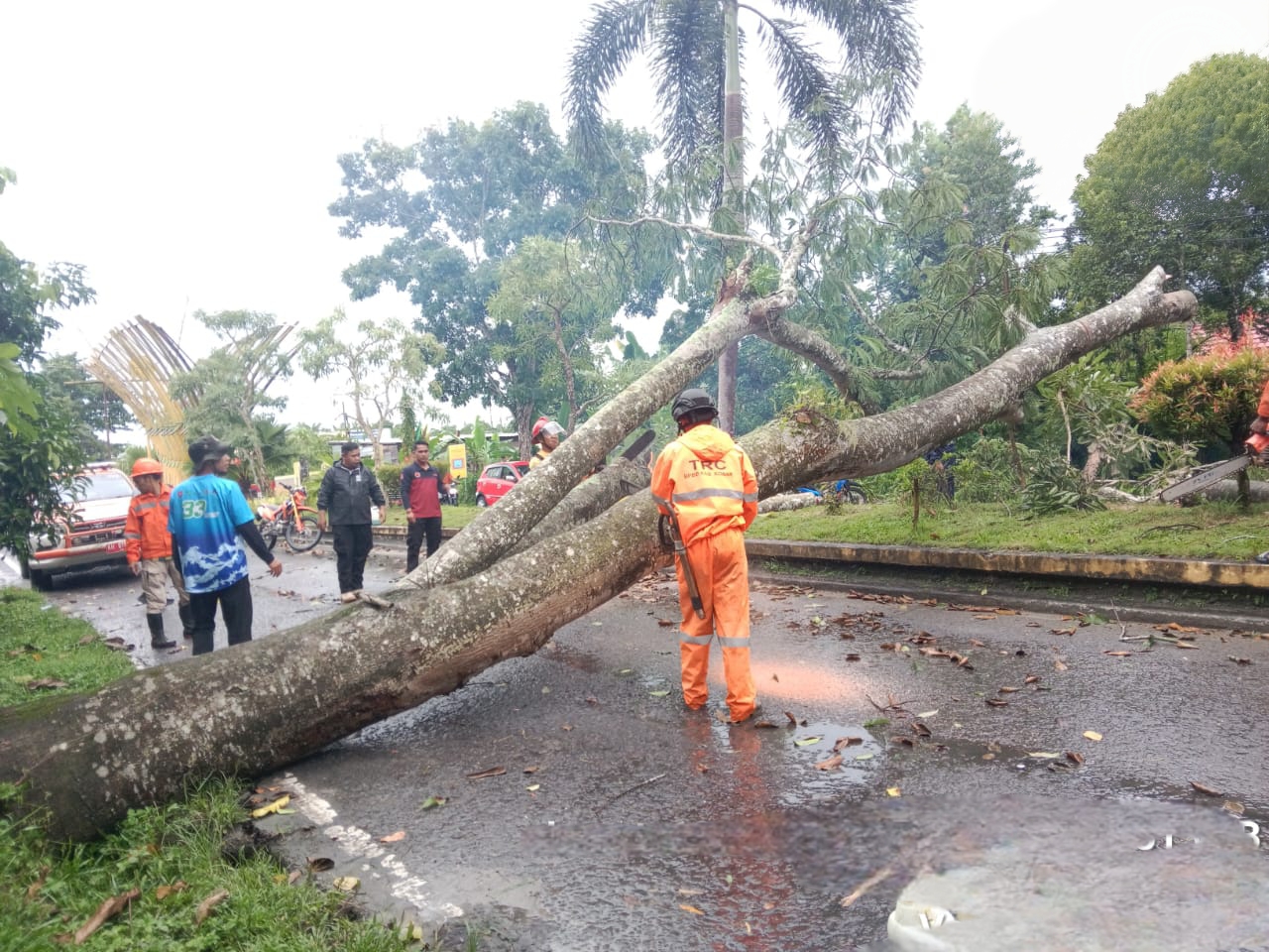 BADAI: Kondisi pohon tumbang dan rumah yang rusak berat tersapu badai di Kotawaringin Barat, Sabtu (20/12).BPBD KOBAR