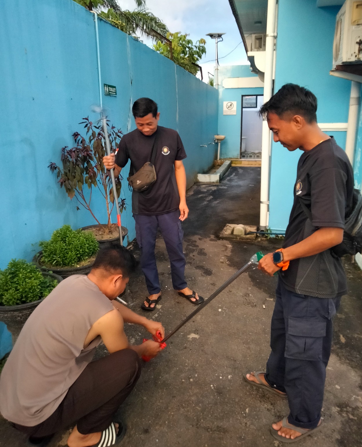 Petugas Damkar Seruya saat mengevakuasi seekor ular di sekitar kantor Bank Kalteng di Kecamatan Hanau, baru-baru tadi.