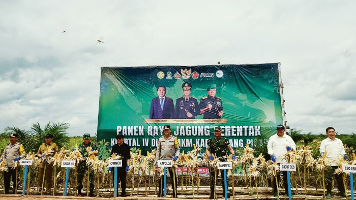 LUAR BIASA : Kapolda Kalteng Irjen Pol Iwan Kurniawan, Pangdam Tambun Bungai Mayjen TNI Zainul Arifin dan owner CBI Group Abdul Rasyid, Bupati Pulang pisau menghadiri panen raya jagung di Pulang Pisau
