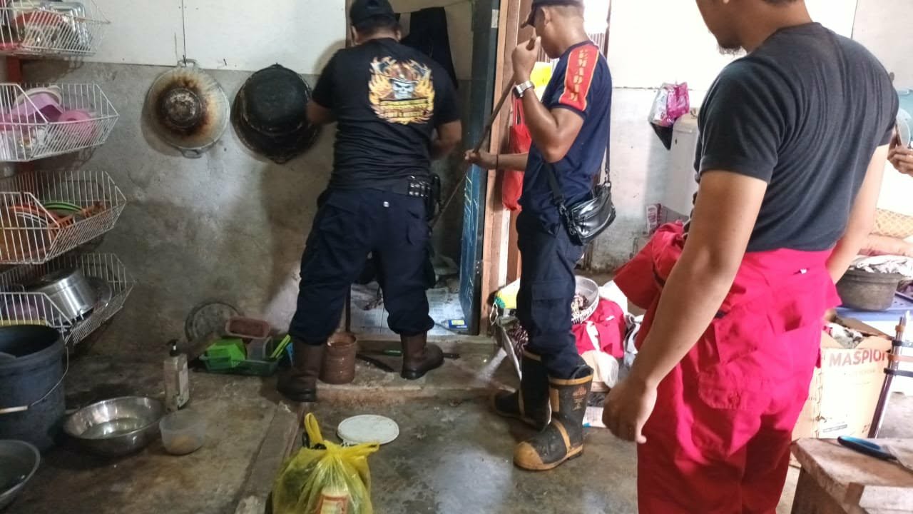 Evakuasi ular berbisa jenis kobra yang dilakukan Tim Rescue Dinas Damkar Kota Palangka Raya di sebuah rumah warga di Jalan Pasendeng,Senin (22/12).