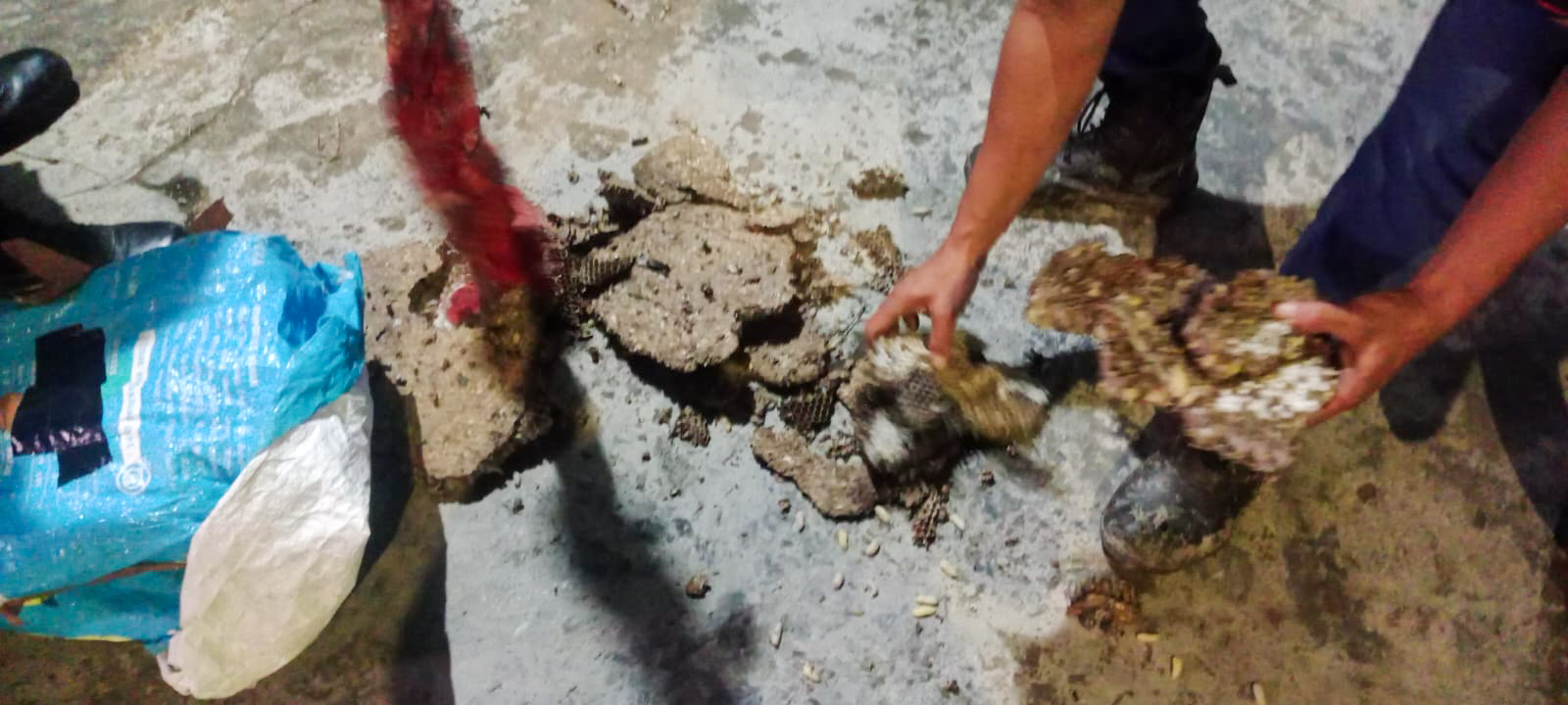 Sarang tawon saat dihancurkan petugas, setelah diambil dari atas plafon sebuah rumah warga di Desa Sungai Undang, Sabtu (20/12).