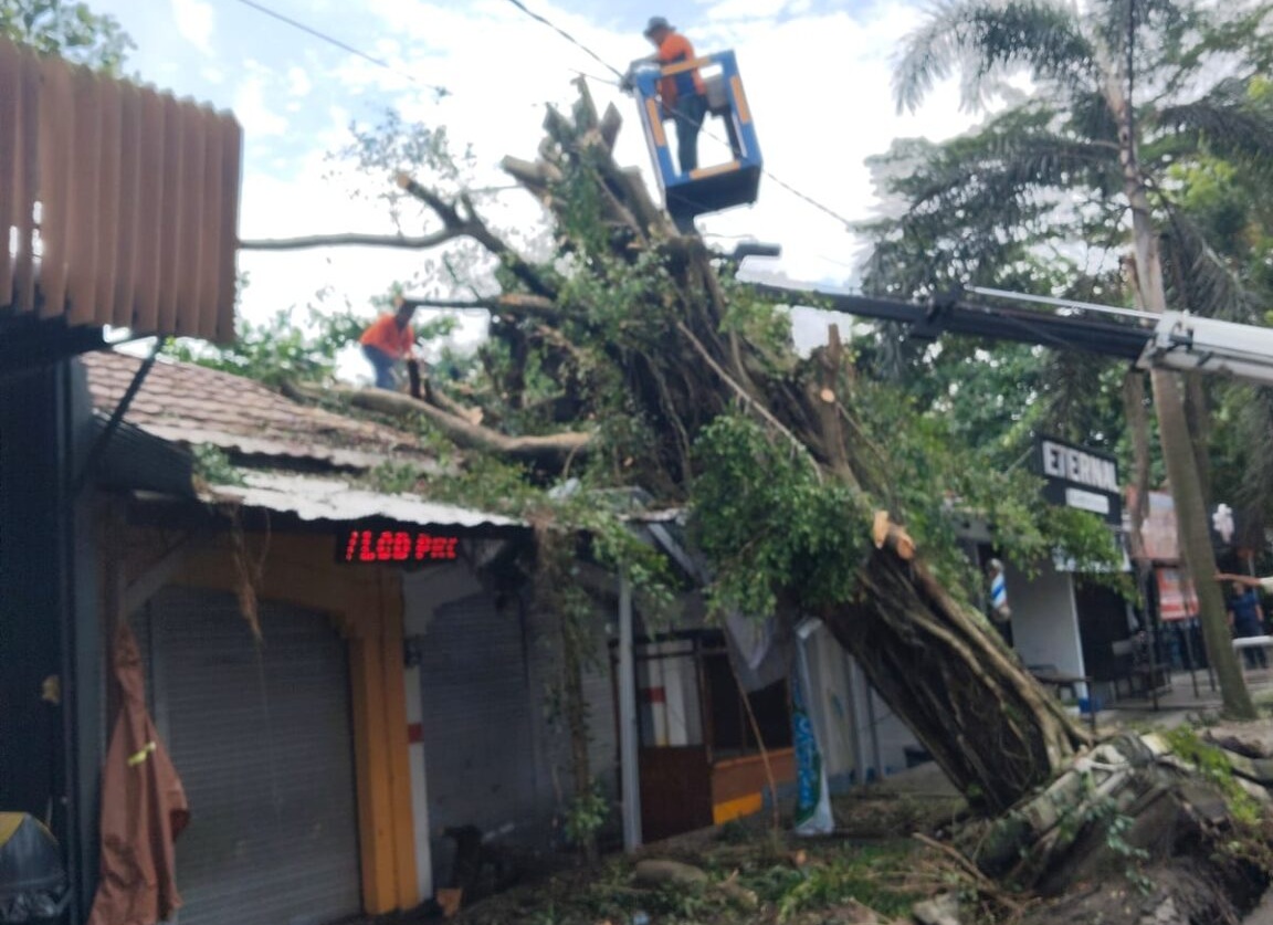 PASCA BADAI: BPBD Kotim dibantu Dishub Kotim saat menangani pemangkasan pohon tumbang di Jalan Kapten Mulyono menggunakan bantuan mobil skylift.  (HENY/RADAR SAMPIT)