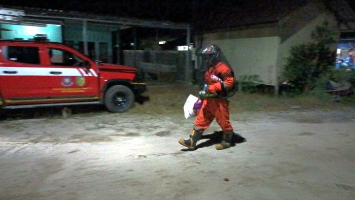 PENANGANAN : Tim Rescue Dinas Pemadam Kebakaran (Damkar) Kota Palangka Raya mengevakuasi sarang tawon vespa di belakang rumah warga Jalan Lele, Kamis (25/12/2025) malam. FOTO: DAMKAR PALANGKA RAYA