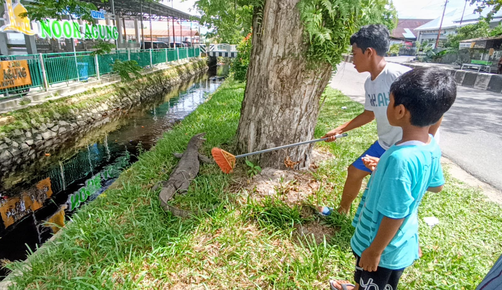 Warga mendorong biawak agar masuk ke sungai. (Usay Nor Rahmad/Radar Sampit)
