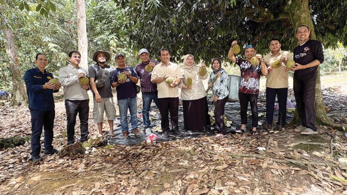 YUNI/RADAR SAMPIT  WISATA DURIAN: Tepat di penghujung tahun, jalin silaturahmi lintas instansi dengan berwisata ke kebun sambil menikmati buah durian khas Desa Jemaras Kecamatan Cempaga, Rabu (31/12).
