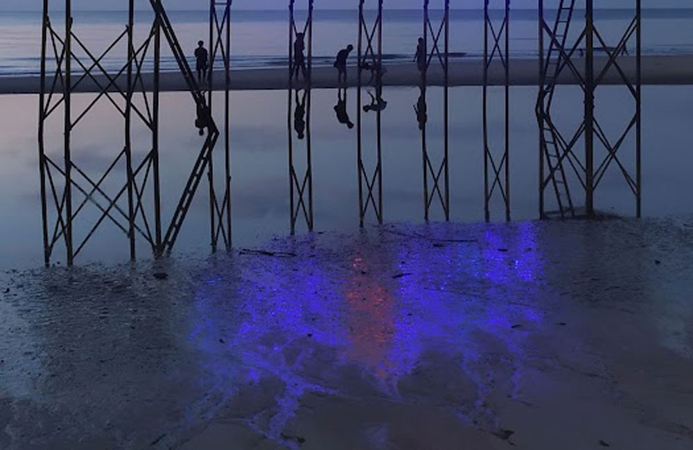 Pantai Ujung Pandaran Kecamatan Teluk Sampit saat air laut surut. (Dok.Oes/Radar Sampit)