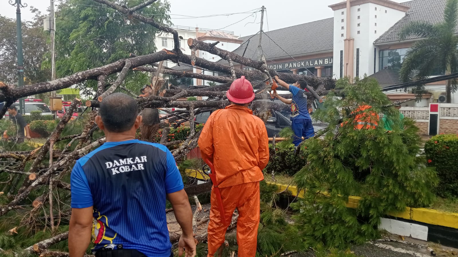 TIMPA MOBIL: Petugas BPBD dan Damkar saat membersihkan pohon tumbang di Depan RSUD Sultan Imanuddin Pangkalan Bun yang menimpa Mobil. (Damkar/Radar Sampit)