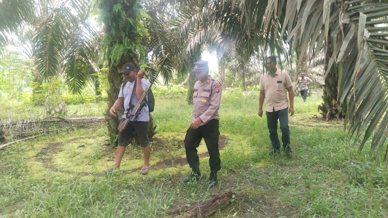 Pencarian beruang yang meresahkan warga Dusun Semanggang, Desa Pangkalan Banteng, Kecamatan Pangkalan Banteng, Kabupaten Kotawaringin Barat, belum lama ini.