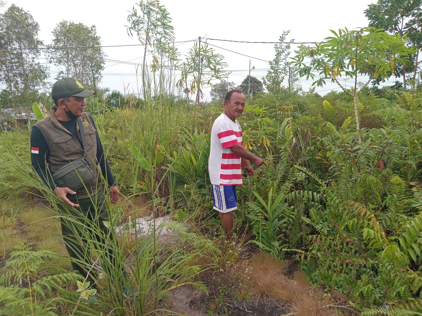 Salah seorang warga menunjukkan lokasi kemunculan beruang madu di wilayah Baamang Barat, Kecamatan Baamang.