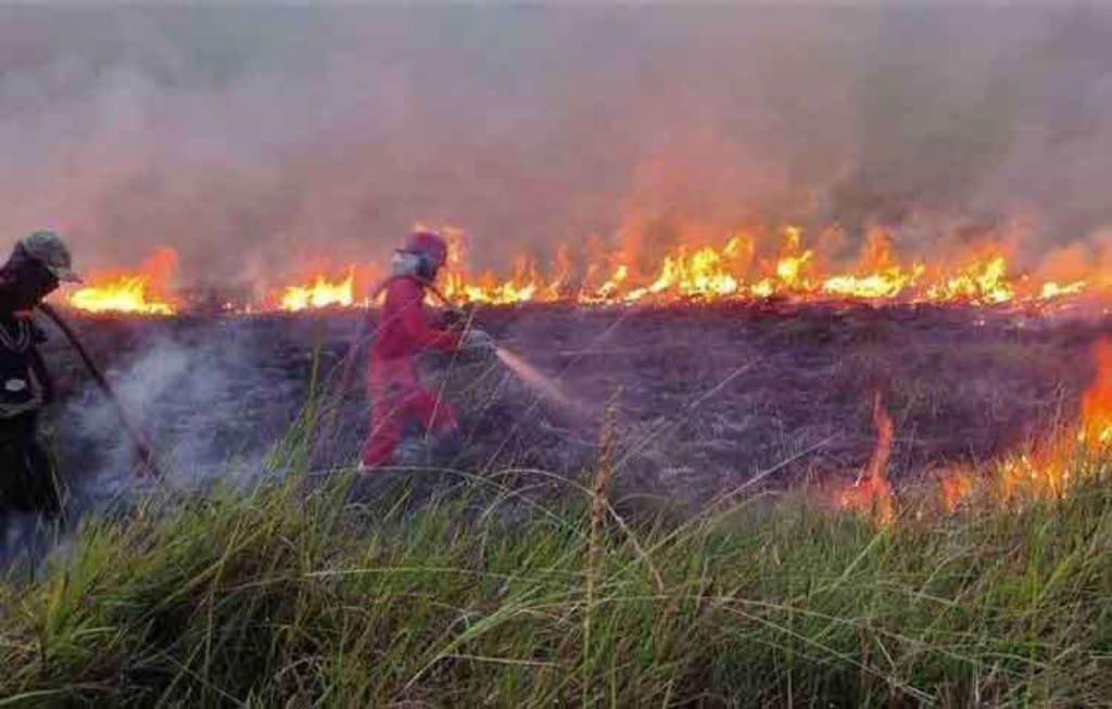 Kebakaran lahan di Kotim. (BPBD Kotim)