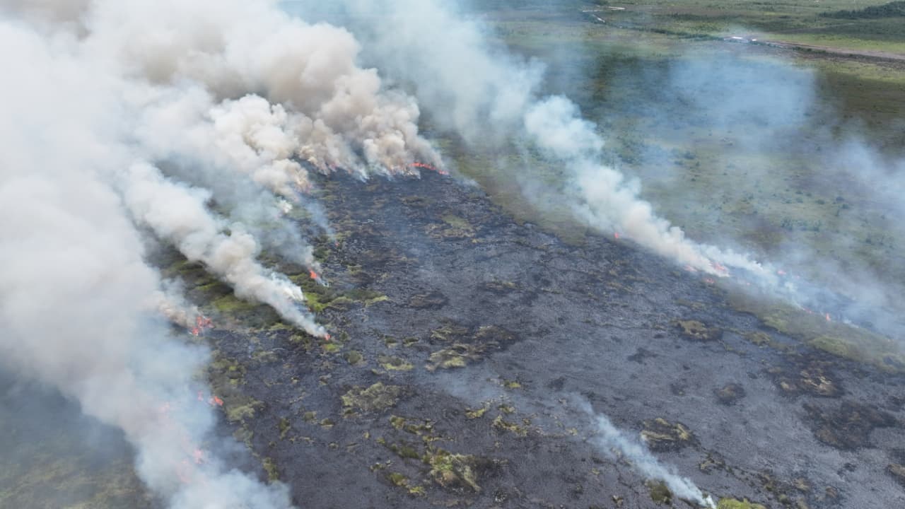 Kebakaran lahan yang terjadi di wilayah Desa Ujung Pandaran, Kecamatan Teluk Sampit, Rabu (15/1/2026). (BPBD Kotim )