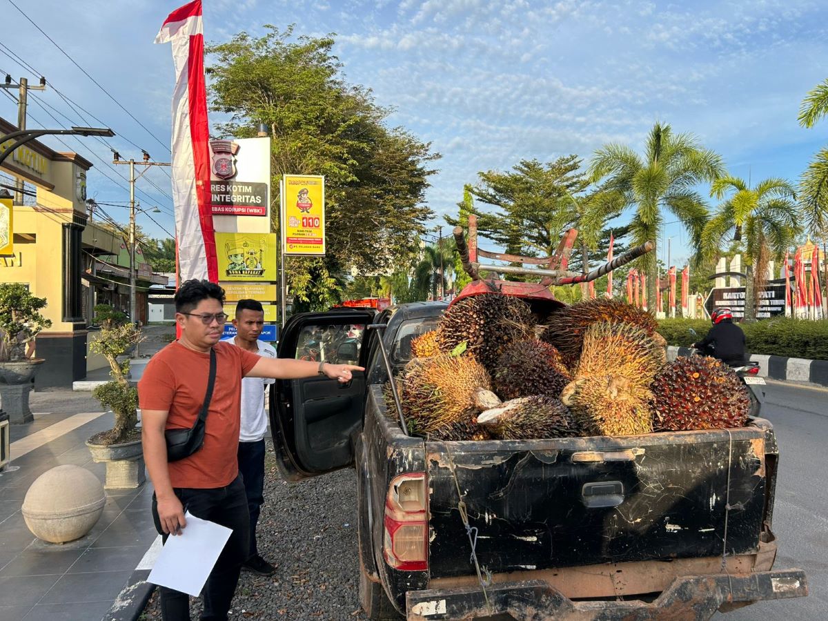 PENCURIAN: Petugas Satreskrim Polres Kotim mengamankan barang bukti buah sawit kasus pencurian di perkebunan, Jumat (16/1/2026). FOTO: POLRES KOTIM/RADAR SAMPIT