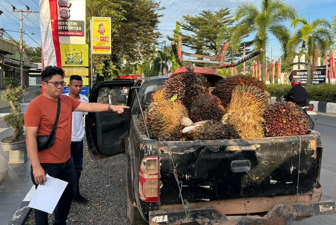 Aparat Kepolisian saat menunjukkan barang bukti pencurian kelapa sawit