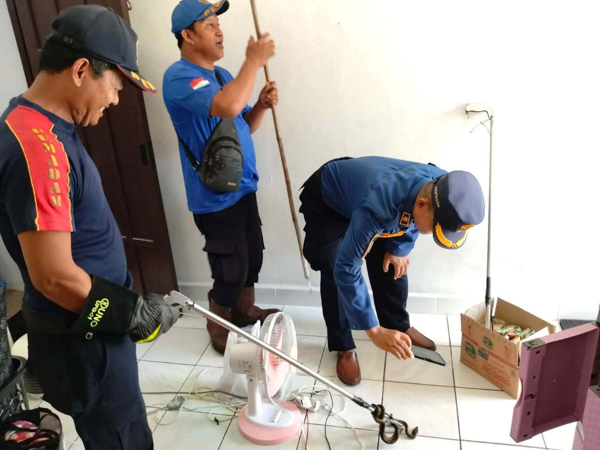 TANGKAP : Tim rescue Damkar Kota Palangka Raya menangkap anak ular piton di dalam kamar kos warga di Jalan Kariraman I. FOTO: IST/RADAR SAMPIT