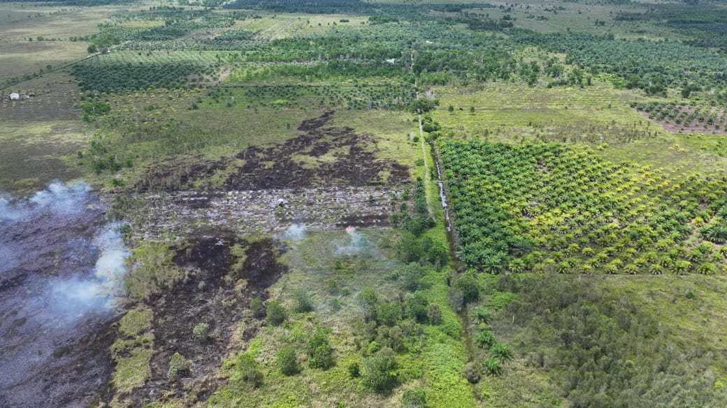 Kebakaran lahan di wilayah Desa Ujung Pandaran, Kecamatan Teluk Sampit, Kamis (Kamis (15/1/2026). (BPBD Kotim)