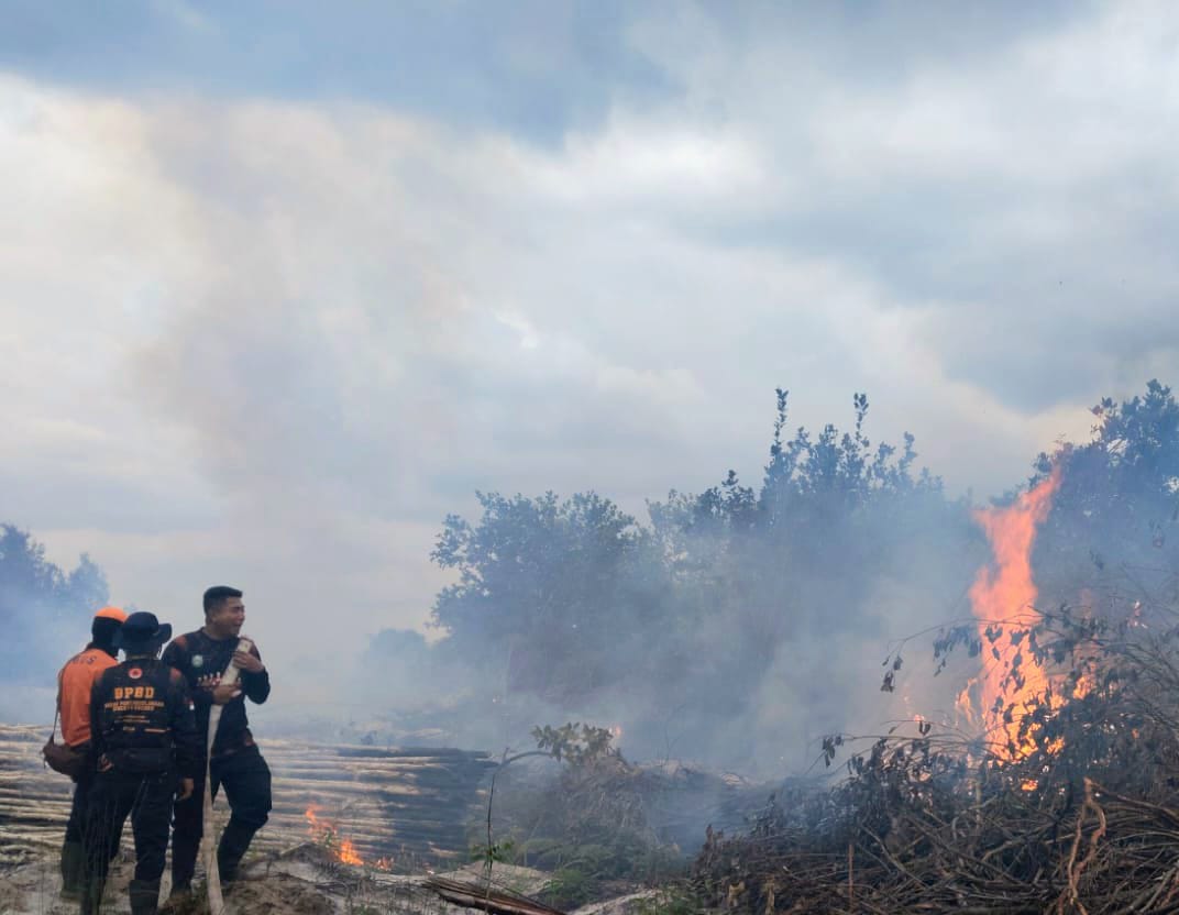 Petugas BPBD Kotim Kotim saat memadamkan api di lahan yang terbakar di Kecamatan Teluk Sampit yang terjadi baru-baru ini. (Tim TRC BPBD Kotim)