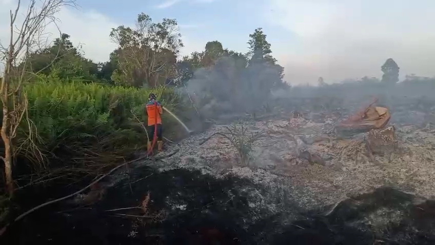 : Kebakaran hutan dan lahan di Jalan Ahmad Shaleh ruas jalan penghubung Pangkalan Bun menuju Kotawaringin Lama, Kecamatan Arut Selatan, Kabupaten Kotawaringin Barat, Senin (19/1)