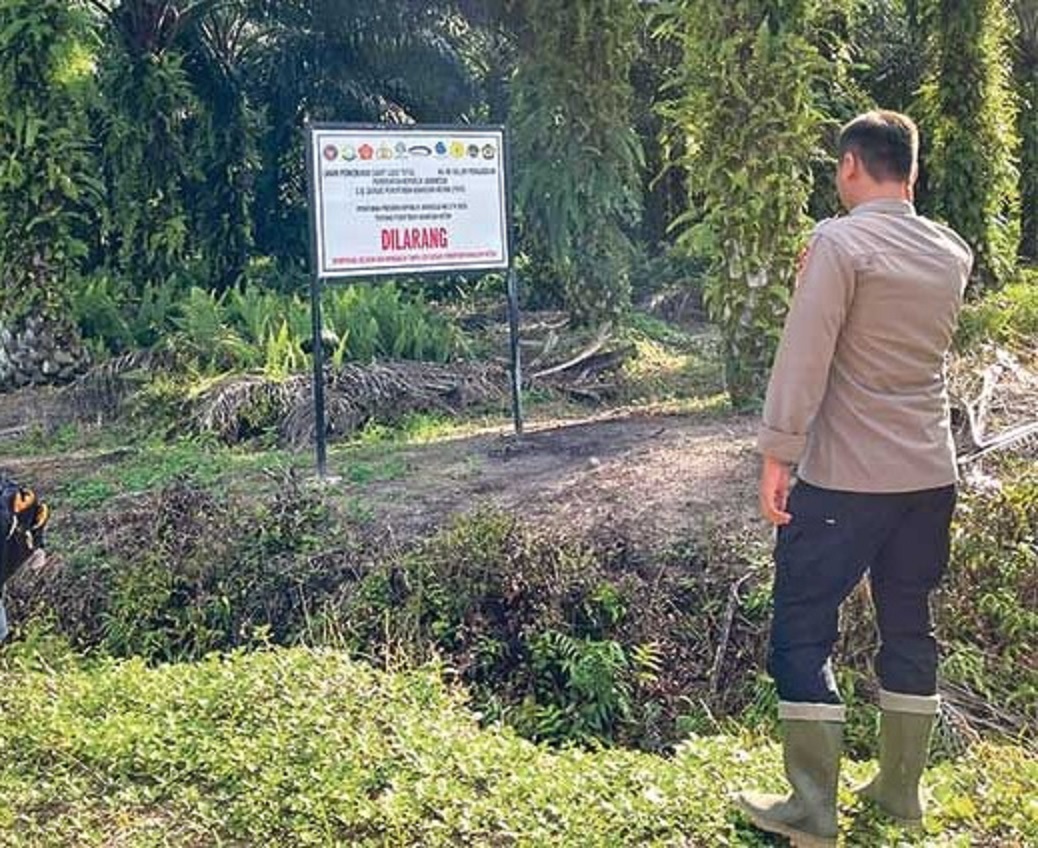 Patroli aparat keamanan pasca Penertiban Kawasan Hutan (PKH) di salah satu areal perkebunan sawit.