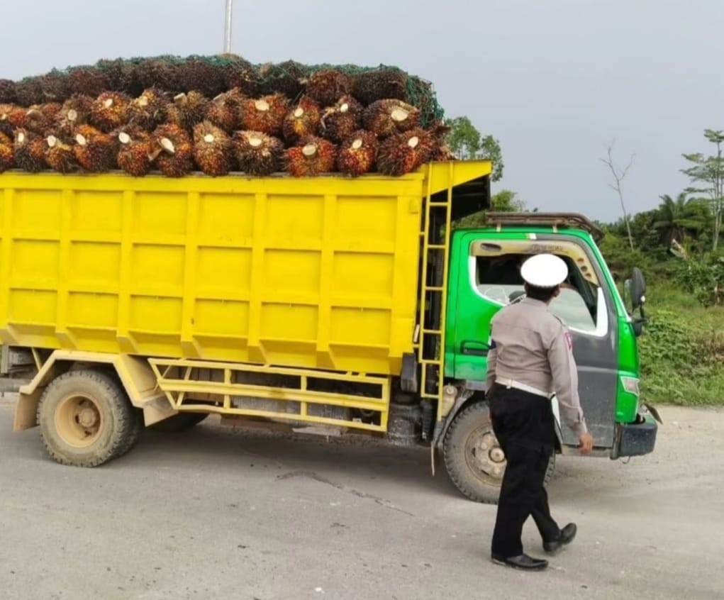 : Anggota Satlantas Polres Lamandau menegur sopir truk over dimensi dan overload (ODOL) saat mengangkut tandan buah segar (TBS) sawit, Selasa (20/1).  
