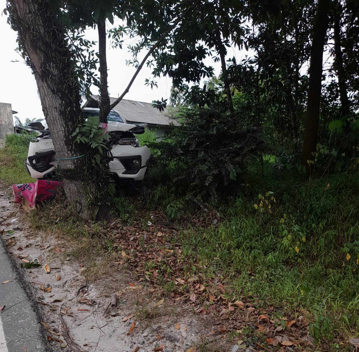 Toyota Fortuner warna putih menabrak pohon di Jalan Natai Arahan, Kelurahan Baru, Kecamatan Arsel, Kabupaten Kobar, Selasa (20/1).