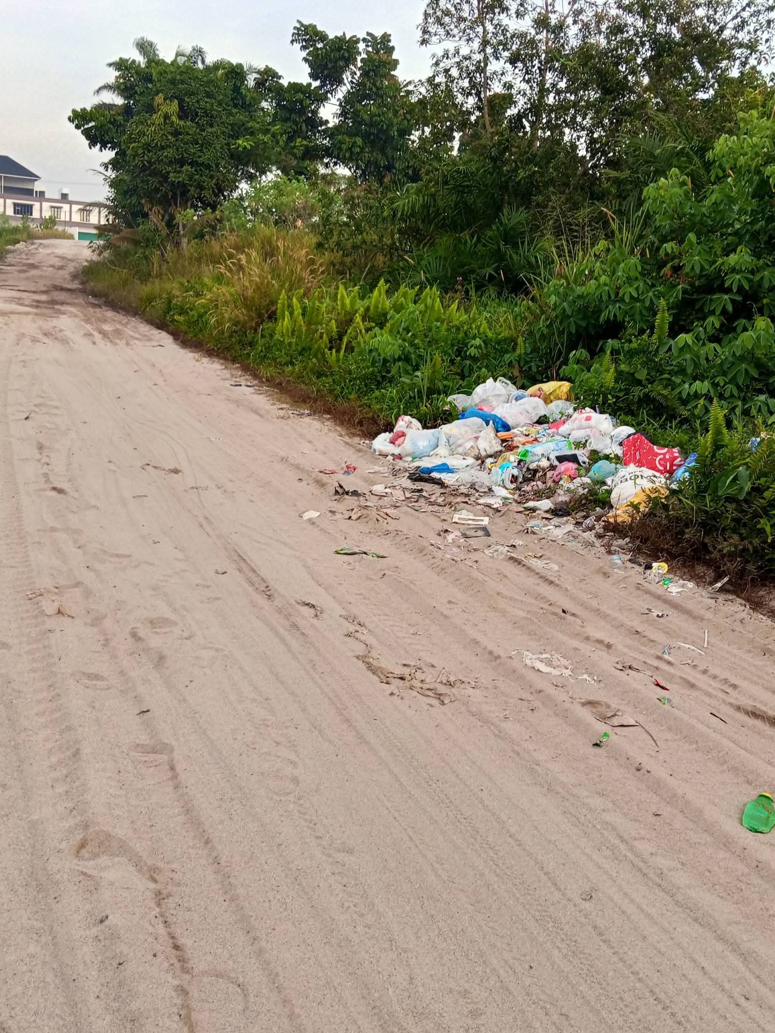 : Titik baru tempat pembuangan sampah (TPS) liar di jalan penghubung Bundaran Obor menuju Perumahan Pinang Merah Desa Pasir Panjang, Kecamatan Arut Selatan, Kabupaten Kotawaringin Barat, Selasa (20/1)