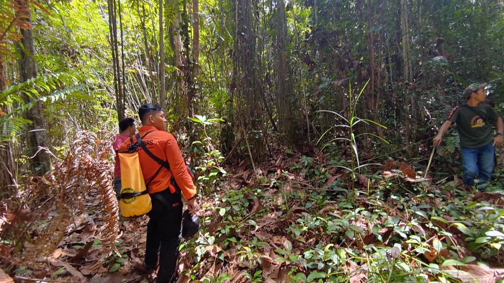 Tim SAR gabungan terus mengupayakan pencarian terhadap seorang warga lanjut usia yang dilaporkan hilang di kawasan Hutan Desa Danau Bambure, Kecamatan Dusun Utara, Kabupaten Barito Selatan