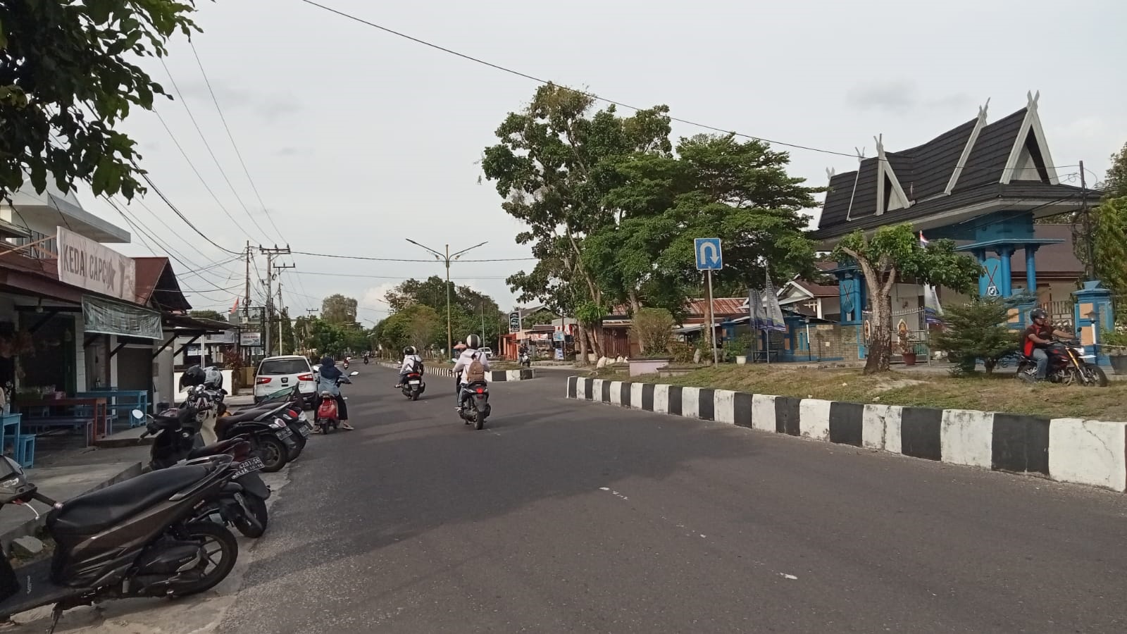 Pohon pelindung jalan rutin dibersihkan oleh pihak DLH Sukamara agar tidak mengganggu pandangan pengguna jalan.
