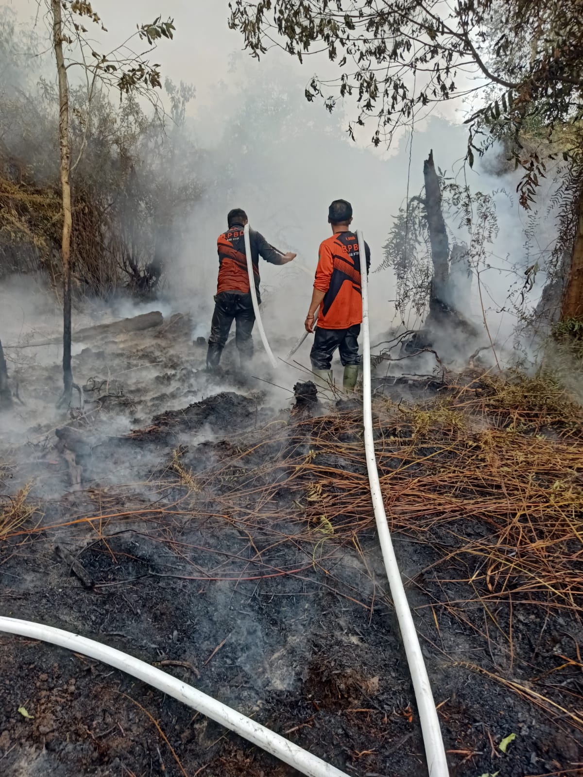 Pemadaman kebakaran lahan di Jalan Sawit Raya, Rabu (28/1) sore.