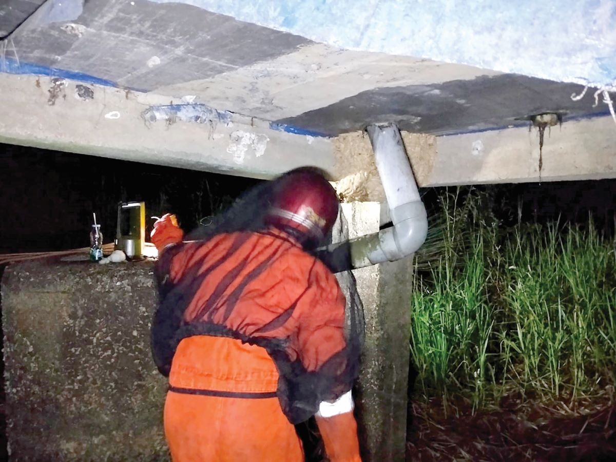 PENANGANAN : Tim Rescue Dinas Pemadam Kebakaran (Damkar) Kota Palangka Raya mengevakuasi sarang tawon vespa di warga Jalan Palatuk VII Ujung, Rabu (28/1/2026) malam. FOTO: IST/RADAR SAMPIT