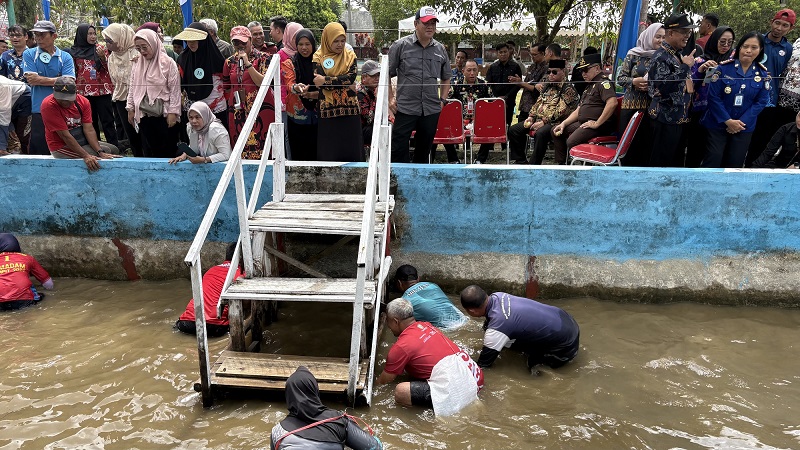 Tradisi Mangaruhi yang digelar di halaman Dinas Perikanan Kotim, Kamis (29/1).