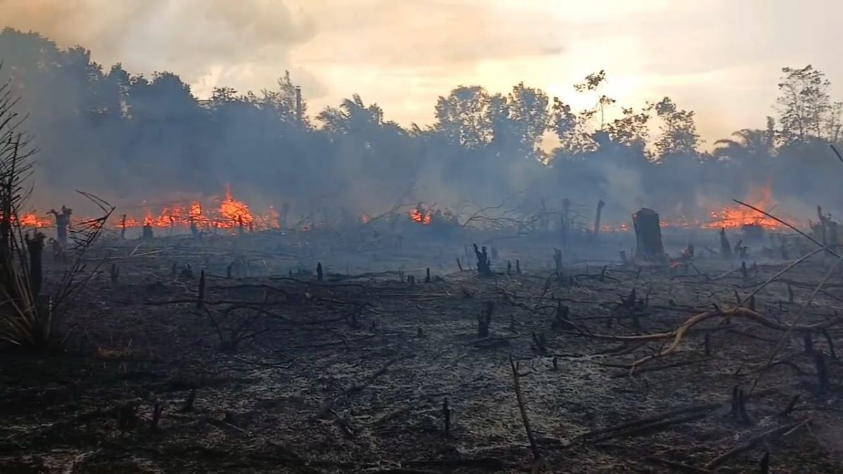 KARHUTLA: Kebakaran Hutan dan Lahan di Jalan Pasir Putih, Desa Sungai Kapitan, Kecamatan Kumai, Kabupaten Kotawaringin Barat (Kobar), Jumat (31/1/2026). FOTO: BPBD KOBAR/RADAR SAMPIT 