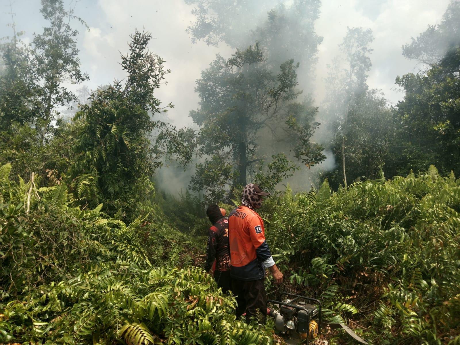 lahan gambut di Desa Bapanggang Raya, Kecamatan Mentawa Baru Ketapang, belum lama ini. (TRC BPBD Kotim).