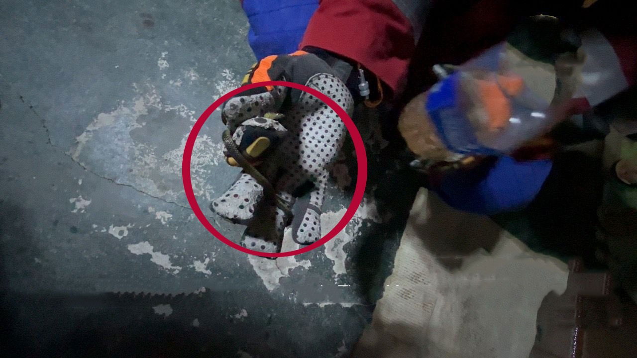 Anak ular karung yang ditemukan di bawah kasur warga di Jalan Barito, Kelurahan Mentawa Baru Hilir, Kecamatan Mentawa Baru Ketapang. (Disdamkarmat Kotim)