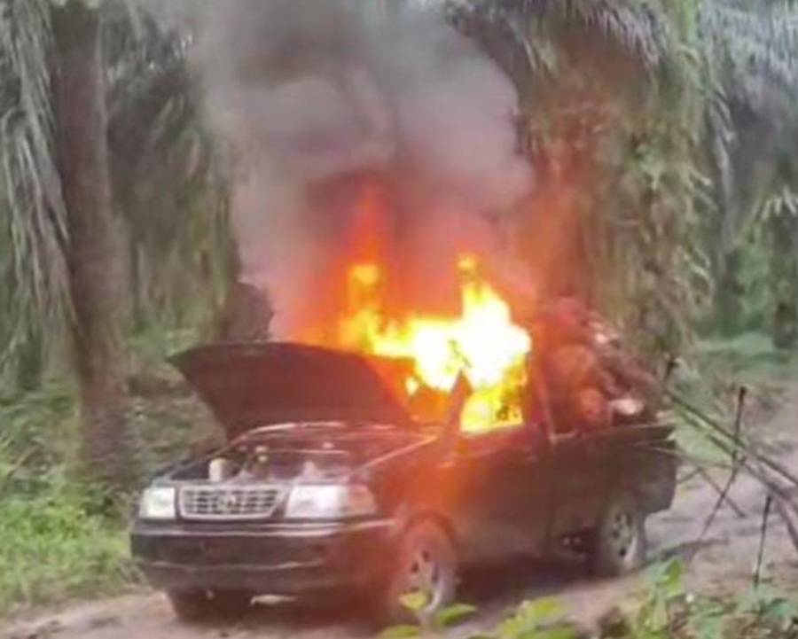 Sebuah video berdurasi singkat yang menampilkan satu unit mobil pikap bermuatan kelapa sawit terbakar hebat mendadak ramai beredar di media sosial, Senin (2/2/2026).