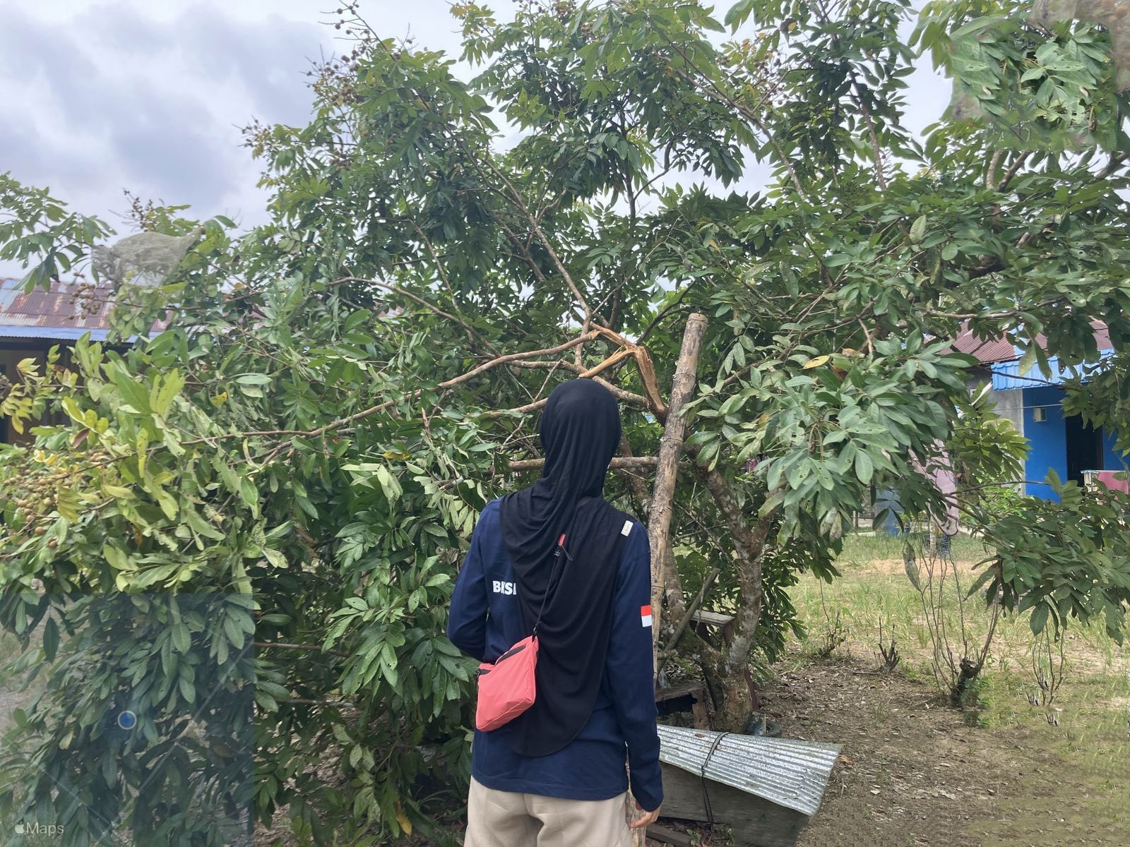 Petugas BKSDA Resort Sampit saat melakukan observasi ke lokasi kemunculan beruang madu di Desa Bapanggang Raya, Kecamatan Mentawa Baru Ketapang, beberapa waktu lalu. (BKSDA Resort Sampit)