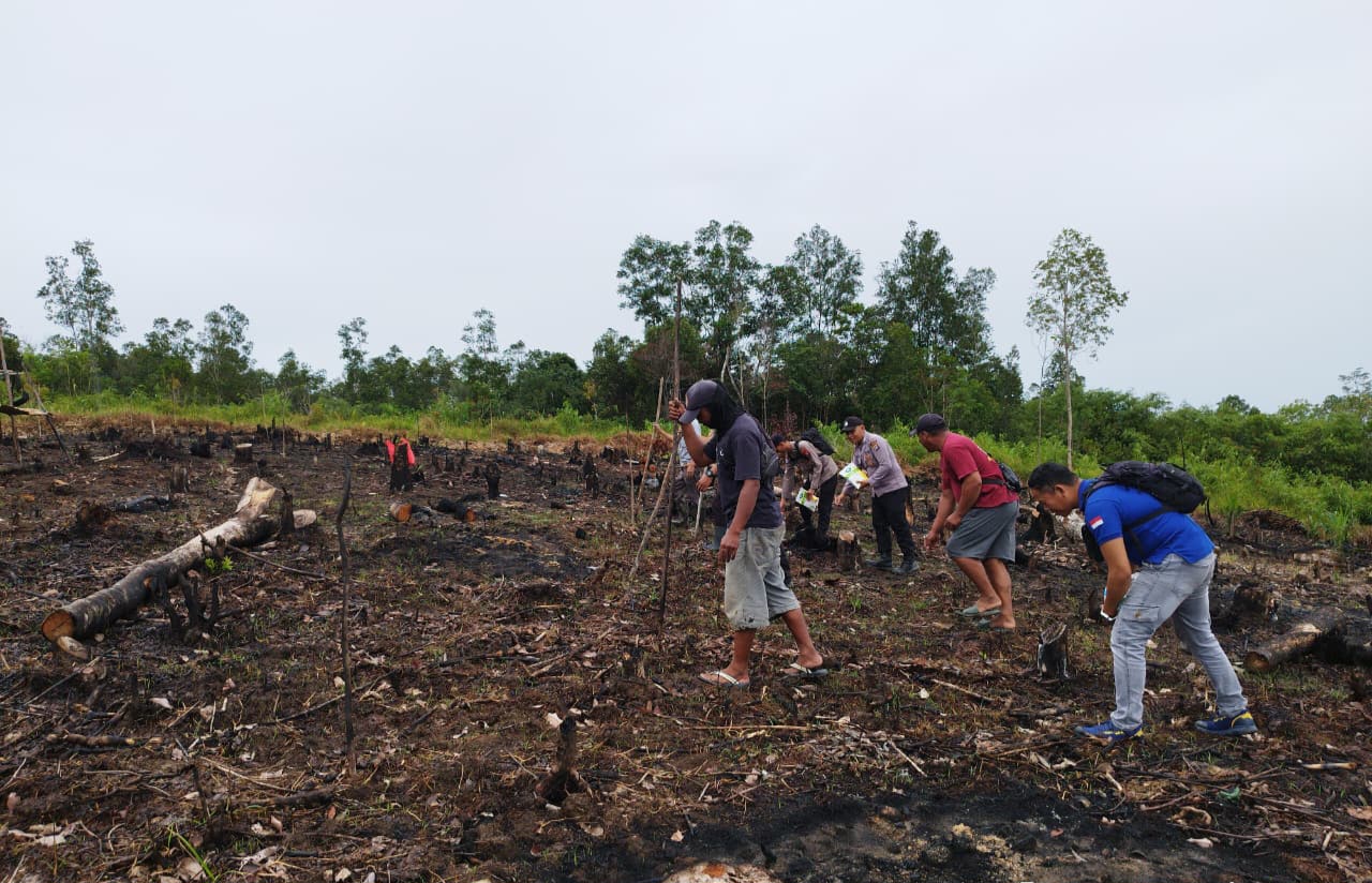 Suasana penanaman jagung di lahan Desa Sepang Kota, Kecamatan Sepang, Rabu (4/2).