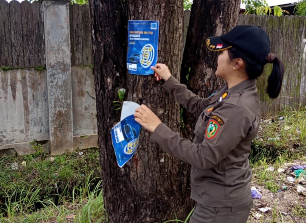 Salah seorang petugas Satpol PP Kotim melepas pamplet yang ditempel di pohon, ini salah satu bentuk pelanggaran yang banyak terjadi di Sampit. (Satpol PP Kotim)